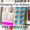 Ginseng For Kidney new07